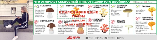 Альфа ПВП Алексин