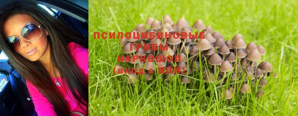 винт Алзамай