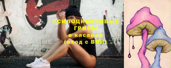 винт Алзамай
