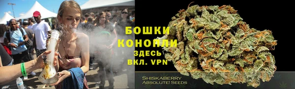 Альфа ПВП Алексин