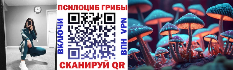 магазин продажи наркотиков  Алексин  Псилоцибиновые грибы прущие грибы 